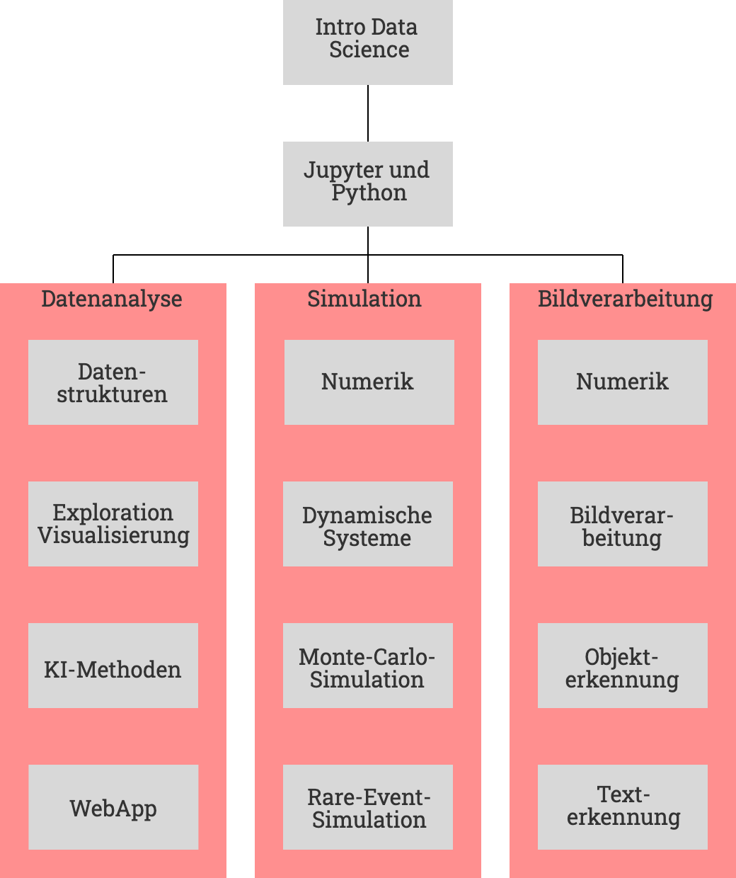 Struktur des Kurses